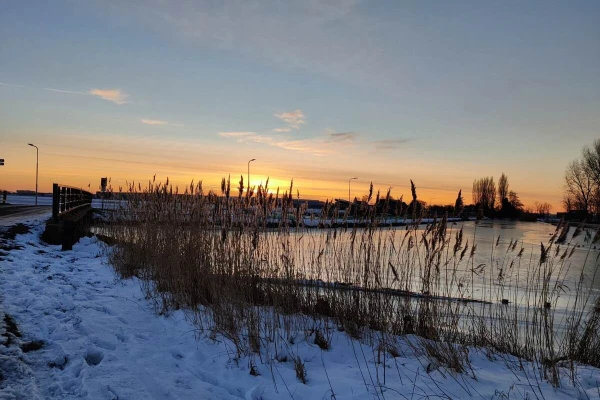 Image of a sunrise behind high grass with a bridge on the left and frozen canal on the right.