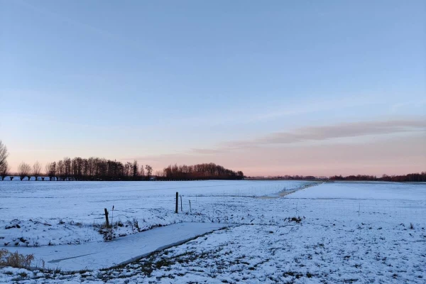 Snowy fields