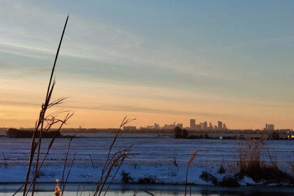 Skyline of Rotterdam seen through some high grass and a frozen canal.