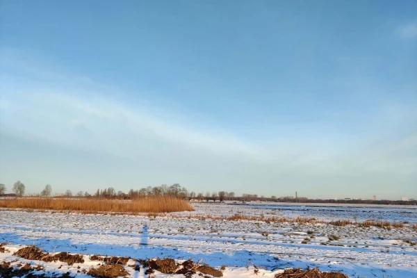 Field with snow with view on Delft