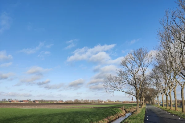 A road next to a green field with some small clouds on a blue sky.