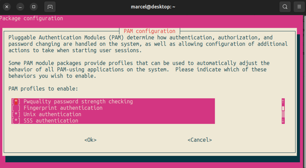 Screenshot of PAM Configuration dialogue in a Terminal.