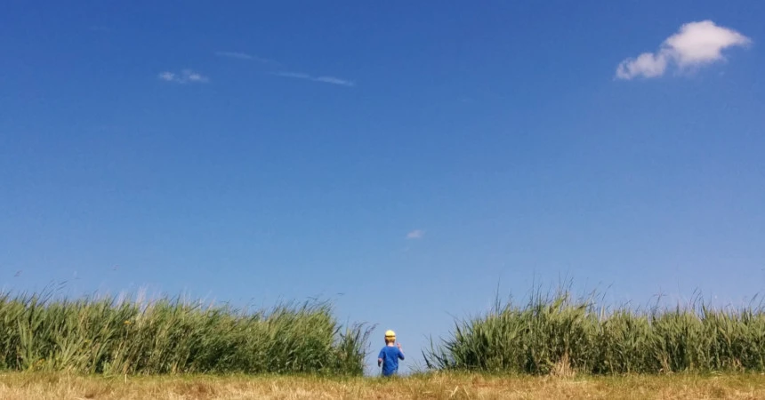 Son in a field, within a two sections of reed