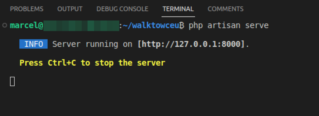 Running the local server from a VS Code terminal.