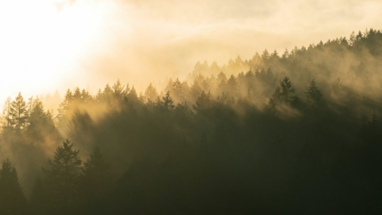 ADHD, the day I got answers