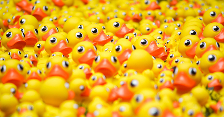 Random yellow plastic ducks